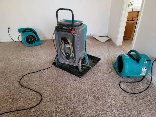Best 24-hour water damage restoration  in Grove City, PA