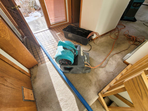 Best Water damage restoration cost  in Grove City, PA