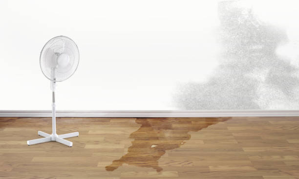 Best Emergency water damage restoration  in Grove City, PA