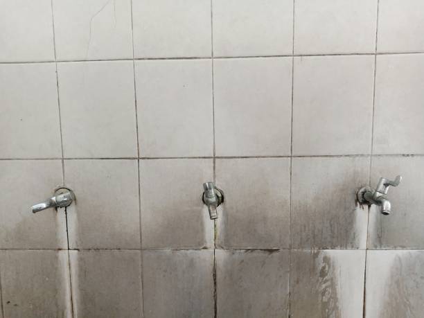 Best Local water damage restoration  in Grove City, PA