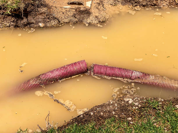 Best Local water damage restoration  in Grove City, PA